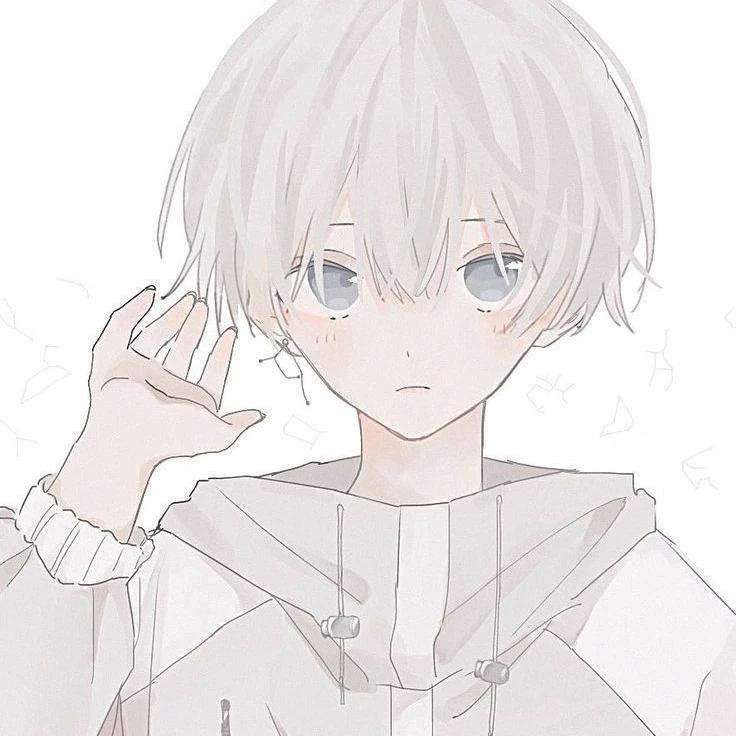 葵