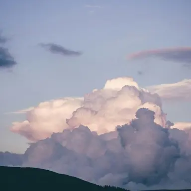 Profile image of 하리유라 린