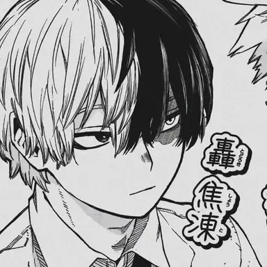 Profile image of Shoto Todoroki