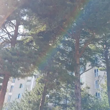 Profile image of 황수현