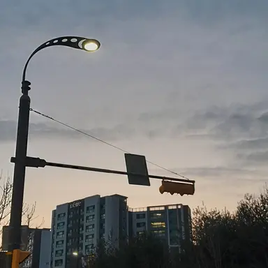 Profile image of 박잠뜰