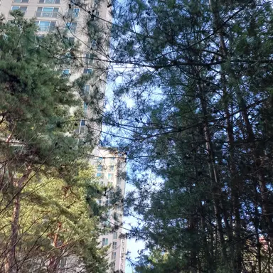 Profile image of 정공룡