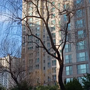 Profile image of 서라더