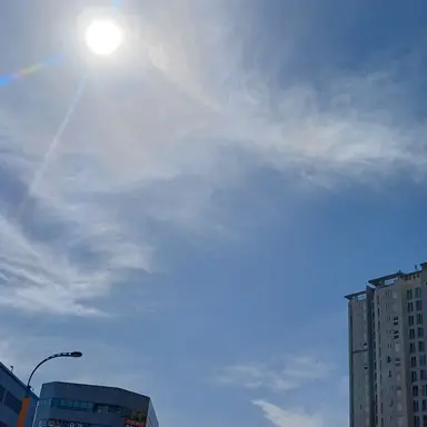 Profile image of 박덕개