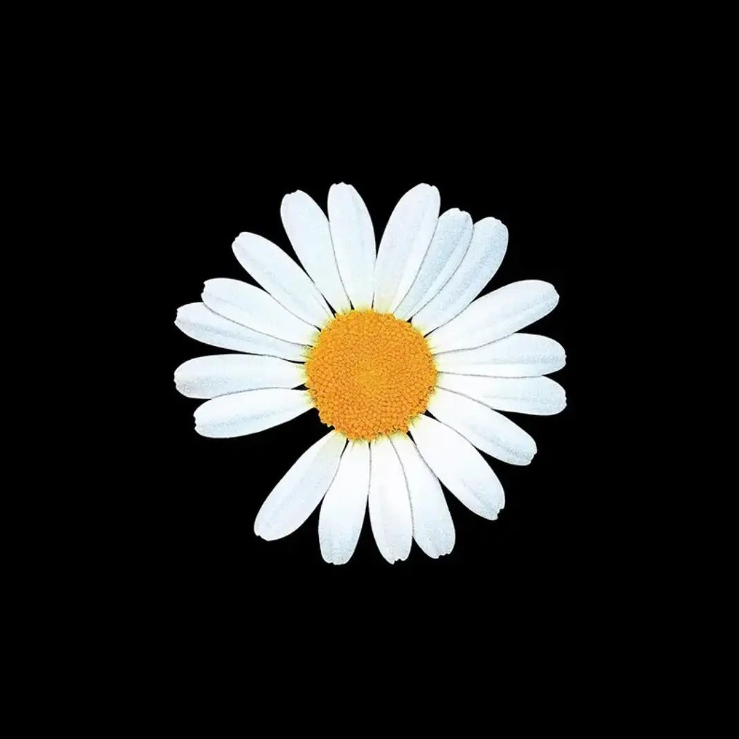 GrainyCoat0110의 반대표로 수학여행가서 존잘권지용꼬시기