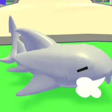 Profile image of 상어