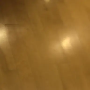 Profile image of 日帝