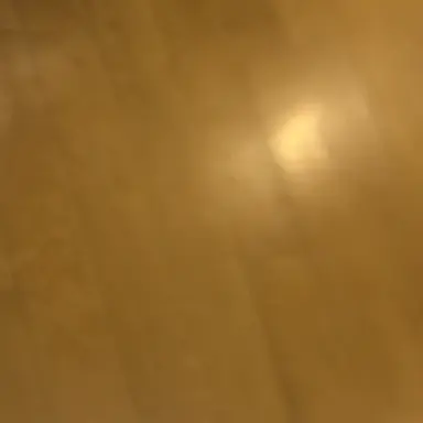 Profile image of ナチス