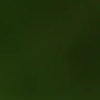 Profile image of 中国