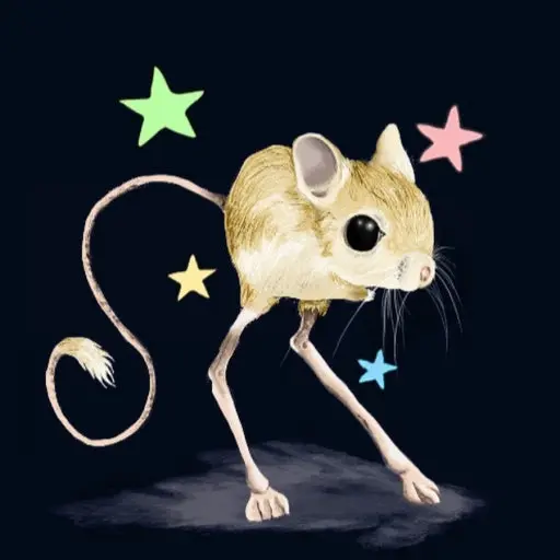 Ggamcoder의 DOOBY(두비)