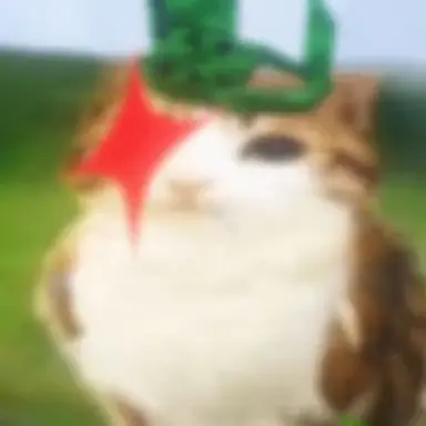 Profile image of 1x1x1x1