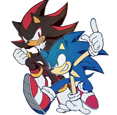 Profile image of ソニック