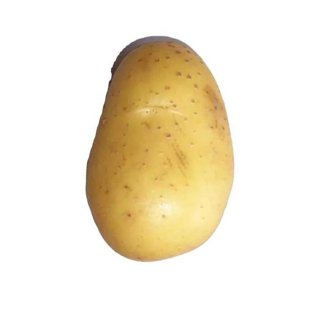 감자