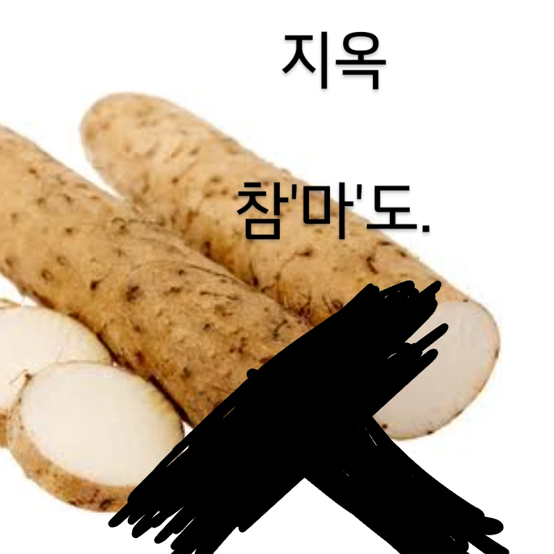 너굴