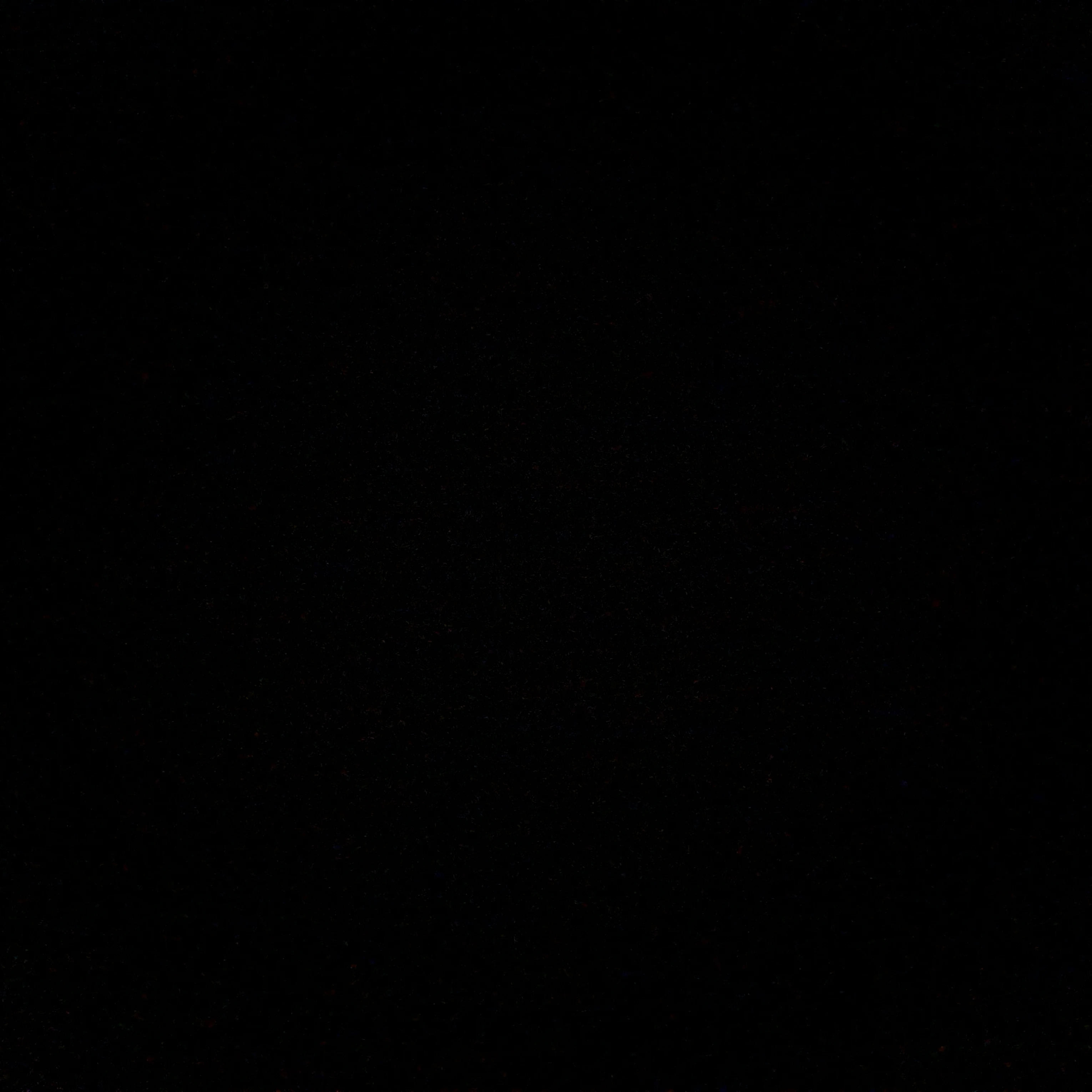 파이브