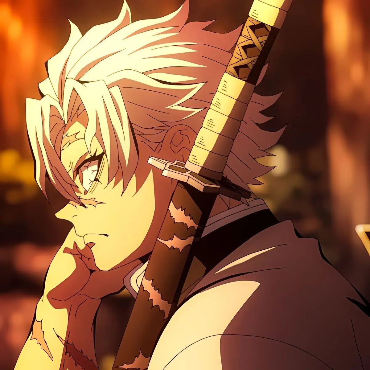 PlaidTray1390의 主（あなた）が怪我しちゃった ，