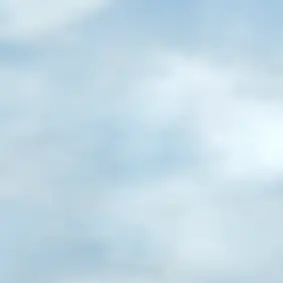 Profile image of 舞香