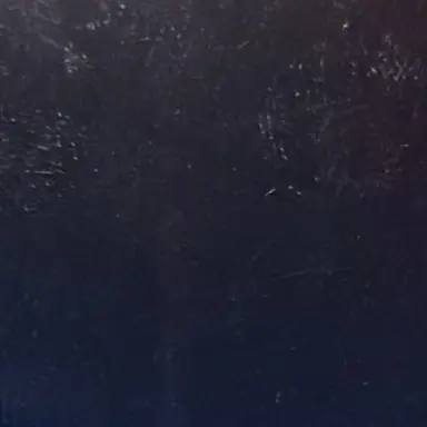 Profile image of 김여우