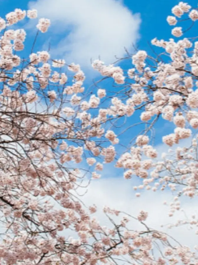 supernuajulcompany1234의 수학여행중에...