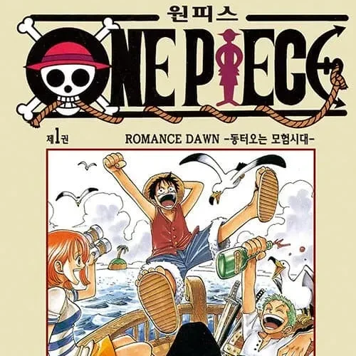 원피스 세계관 설명