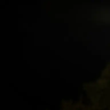 Profile image of 힌유진