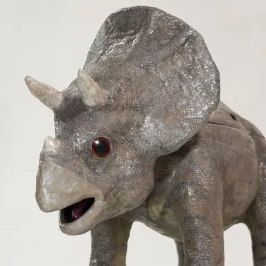 Profile image of 바라곤