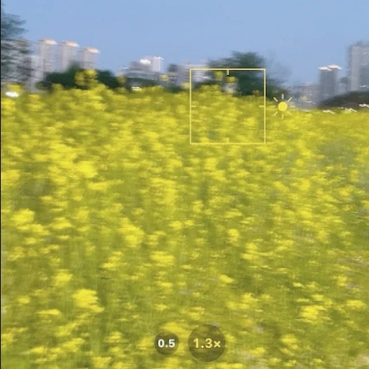 한재하