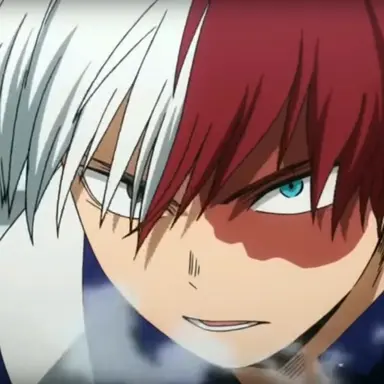 Profile image of Shoto Todoroki