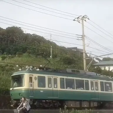 Profile image of 정 공룡