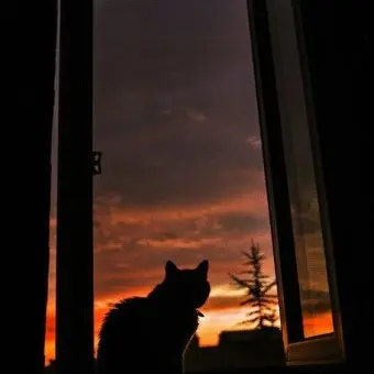 Profile image of 권원