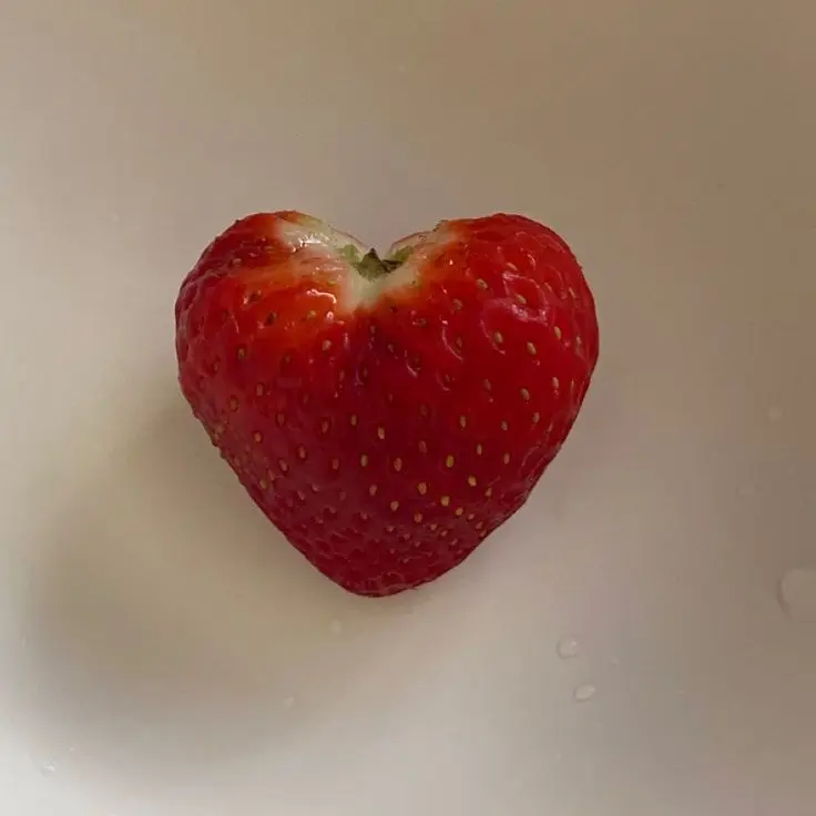 StrongPetal9517의 ㅇㅈㅇ