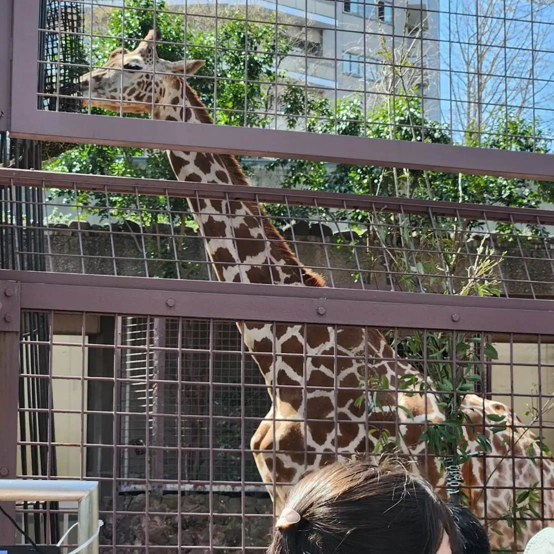 JoyfulSlab3987의 ぐるーぷ