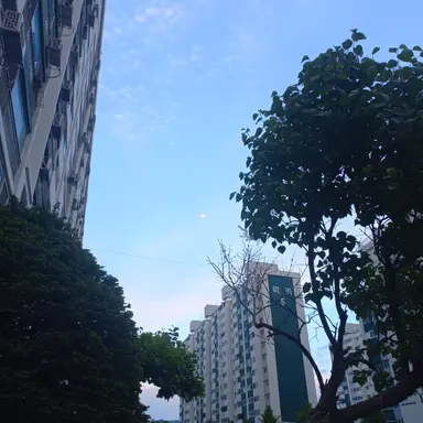 Profile image of 포세이큰 인물