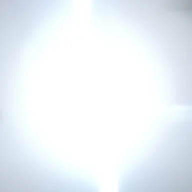 Profile image of 김동현