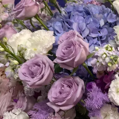 Profile image of 토쿠노 유우시