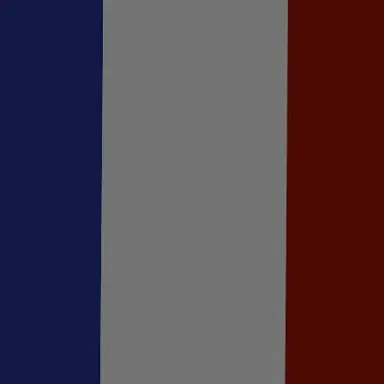 Profile image of 6th French Republic