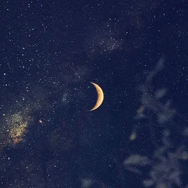 Profile image of 아스트로