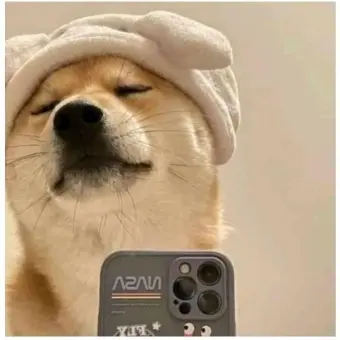 FestalEye4704의 쌈뽕한 강아지🐶😘
