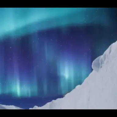 Profile image of 김각별