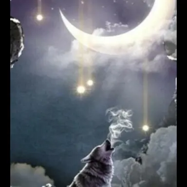 Profile image of 정공룡