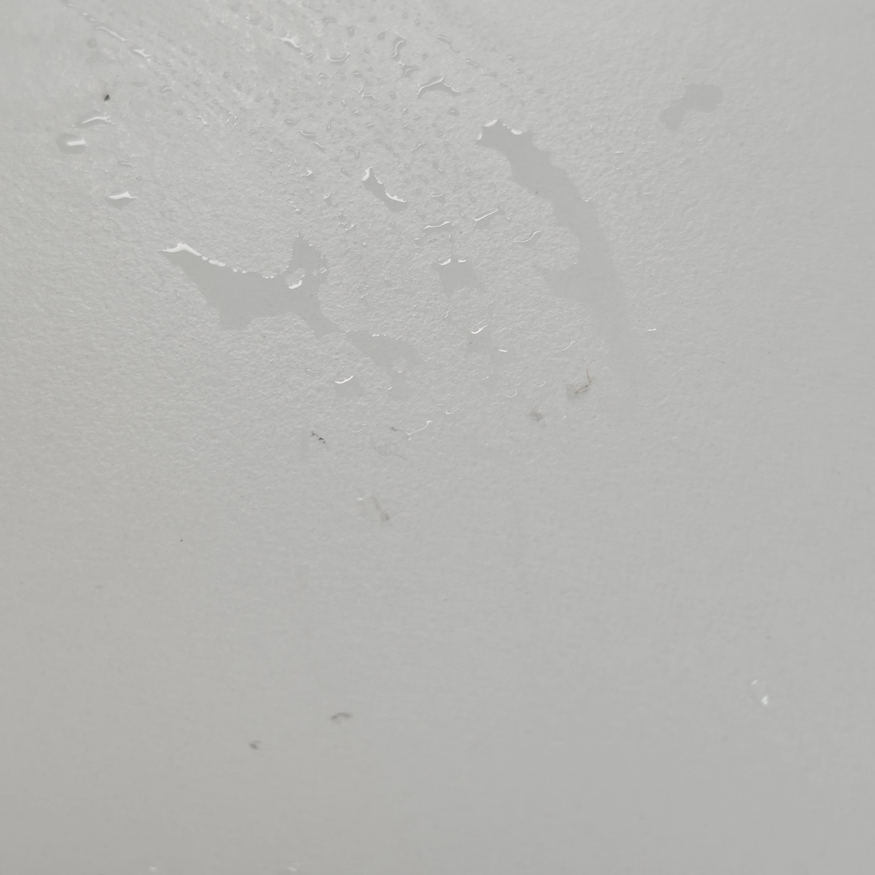 정한 선생님