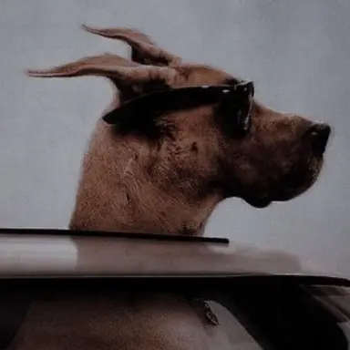Profile image of Scooby