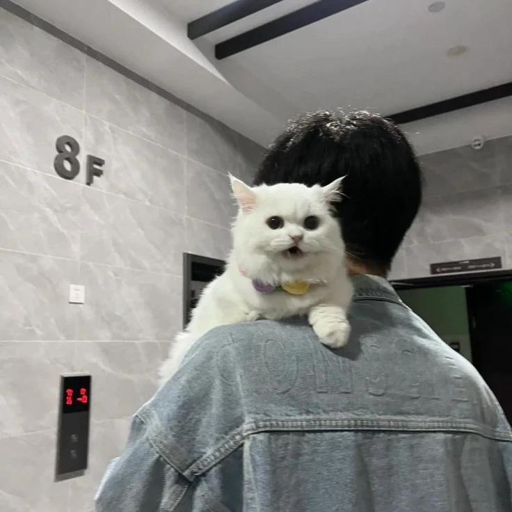 현준