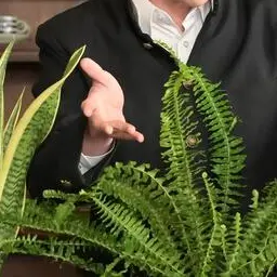 Profile image of いせ たくや