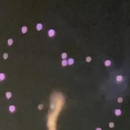 道枝駿佑