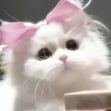 Profile image of ゆうし