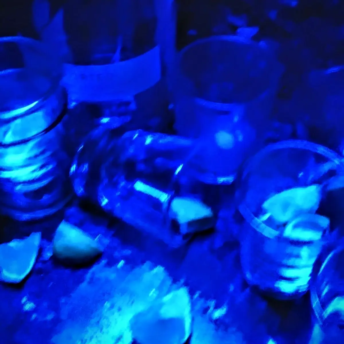 kcurry의 『 Club Eden 』