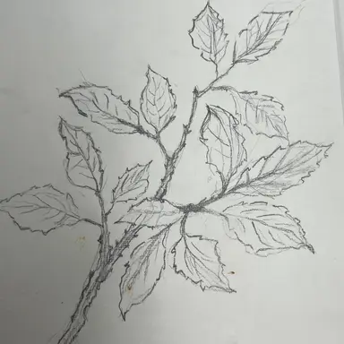 Profile image of 레전드매치 학교