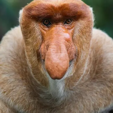 Profile image of キム・ヨウ