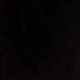 최승첡